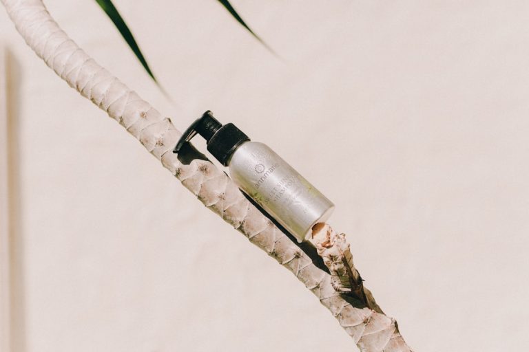 FashionNucleus: Where Style Meets Affordability for Everyone